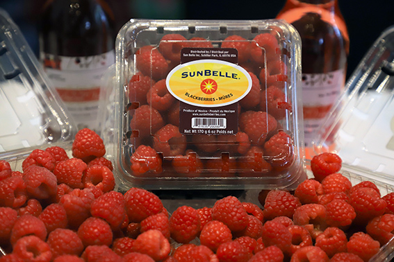 Feria de las Berries 31 agosto 1 septiembre