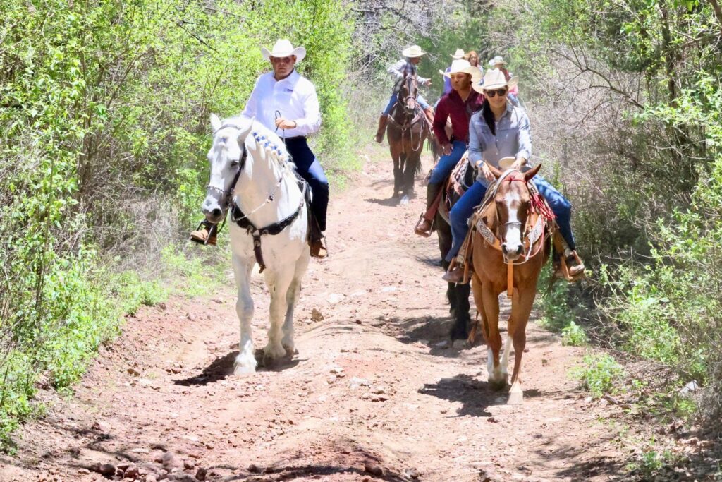 Gobierno de Puebla impulsa rescate y renovación del Parque Estatal Flor del Bosque