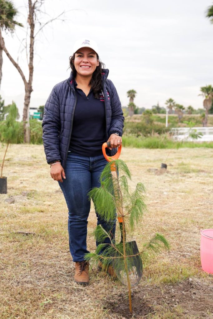 Continúa reforestación en San Andrés Cholula con más de 1,800 árboles sembrados
