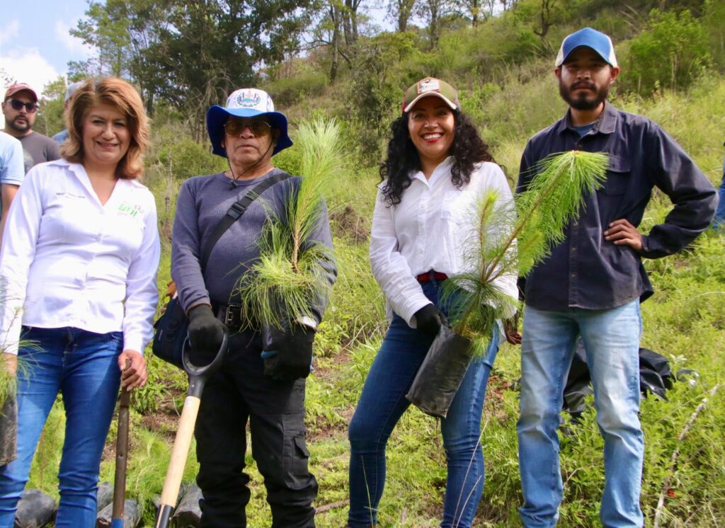 ¡UTH participa en reforestación en Atexcac!