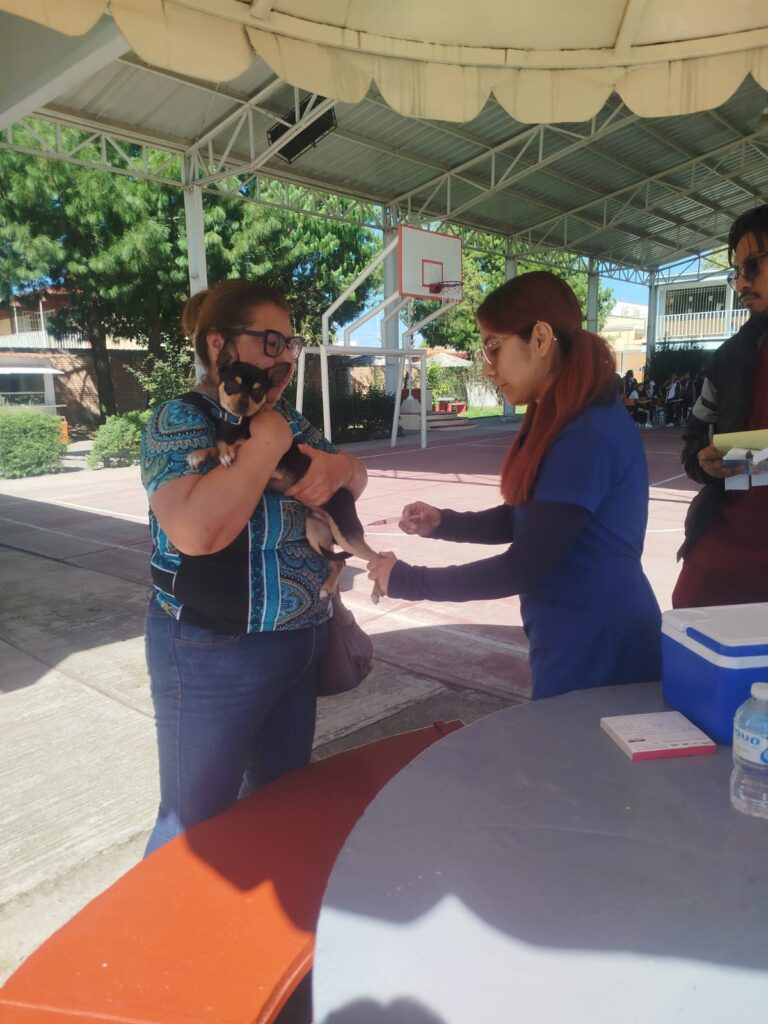 Centro de Bienestar Animal de Cuautlancingo promueve tenencia responsable de seres sintientes