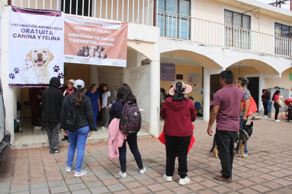 Realizan jornada gratuita de vacunación y esterilización para perros y gatos en San Martín Zoquiapan