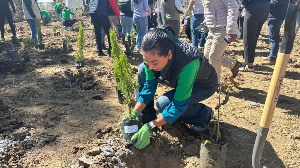 Norma Pimentel impulsa campaña de reforestación en beneficio de Cuautlancingo.