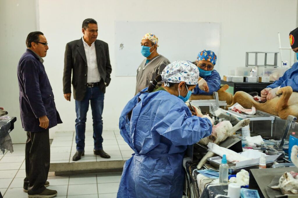 Realizan Jornada de Esterilización Gratuita en el Bachillerato Benito Juárez de San Francisco Ocotlán