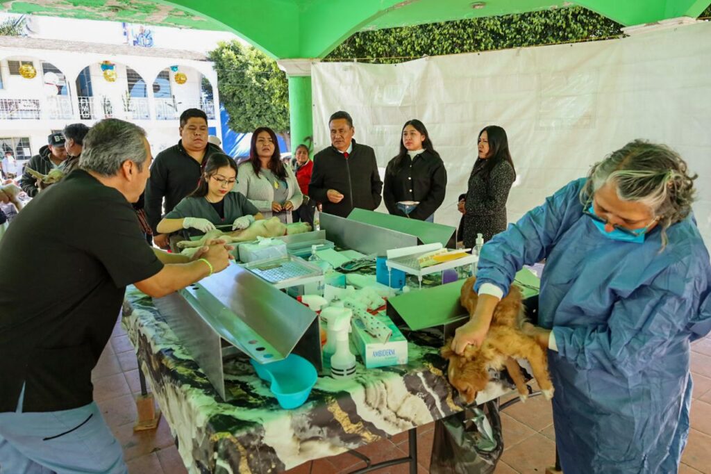 Con jornada de esterilización, gobierno de Coronango promueve bienestar animal