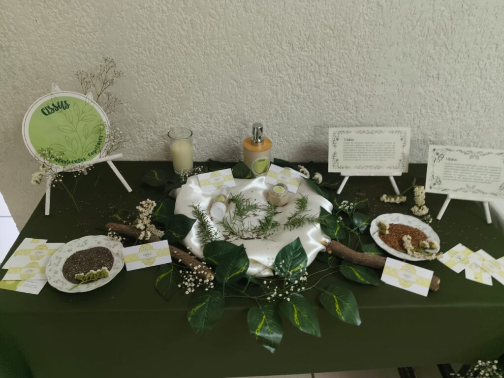 Crean estudiantes de UTH tónico natural contra la alopecia con planta molonqui
