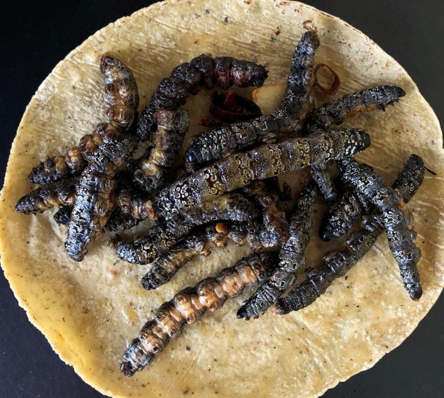 LA GASTRONOMIA TRADICIONAL DE CHOLULA patrimonio biocultural sostenible