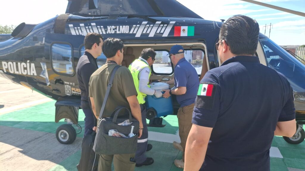 VÍA TRASLADO MÉDICO AÉREO, DONACIÓN MULTIORGÁNICA SALVA VIDAS EN CDMX  