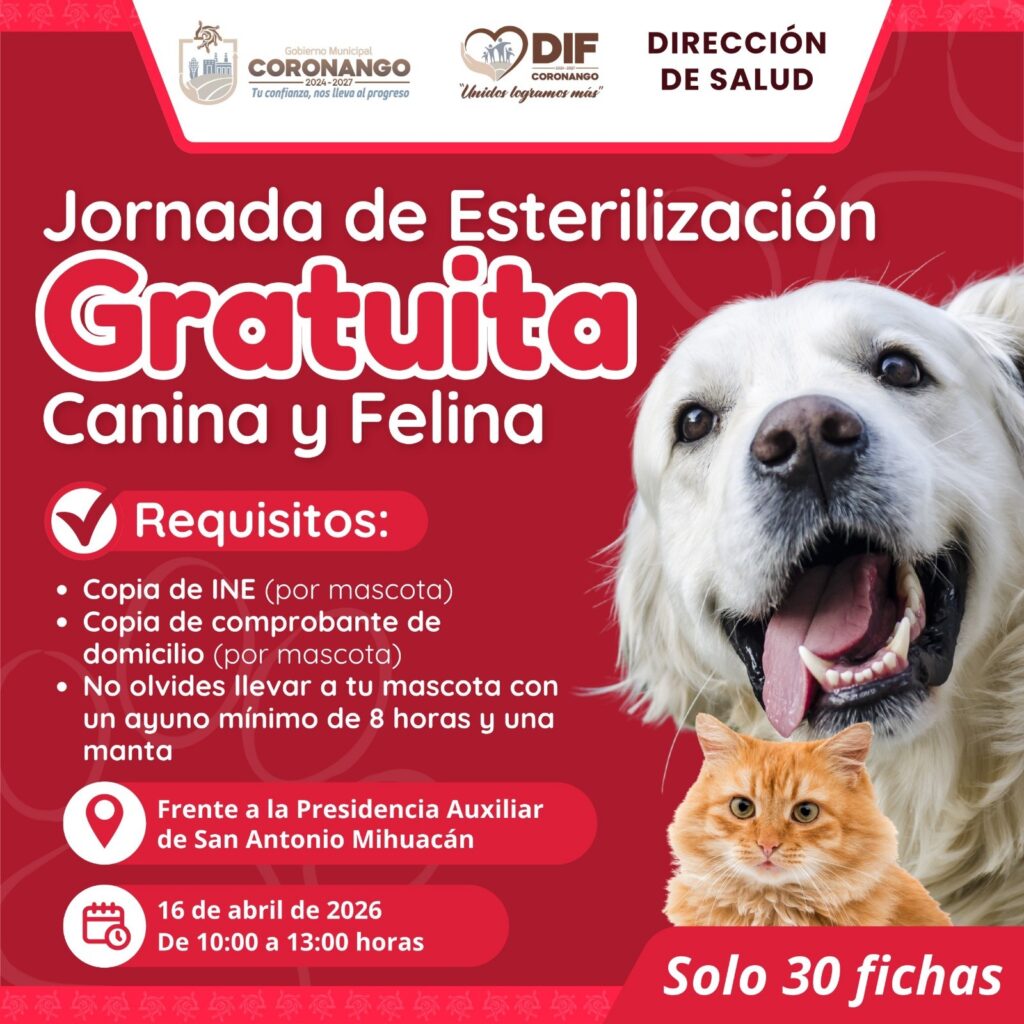 Realizará DIF Municipal jornadas de esterilización gratuita canina y felina