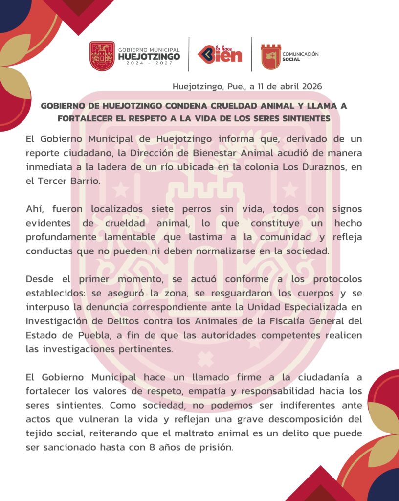 GOBIERNO DE HUEJOTZINGO CONDENA CRUELDAD ANIMAL Y LLAMA A FORTALECER EL RESPETO A LA VIDA DE LOS SERES SINTIENTES