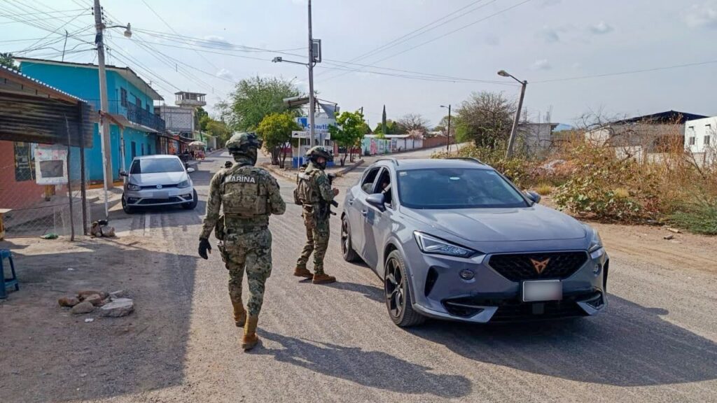 Puebla y Guerrero continúan la coordinación de acciones operativas en zonas limítrofes