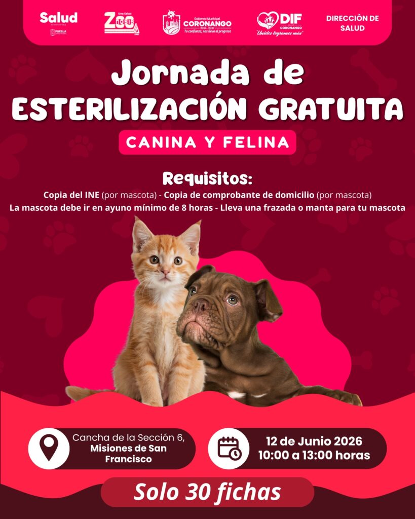 DIF Coronango llevará jornadas de esterilización de mascotas a Misiones y Ocotlán