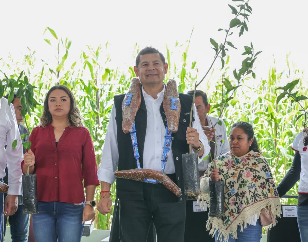 GOBIERNO ESTATAL ACELERA LA REVOLUCIÓN DEL CAMPO CON APOYOS, MAQUINARIA Y OBRA COMUNITARIA