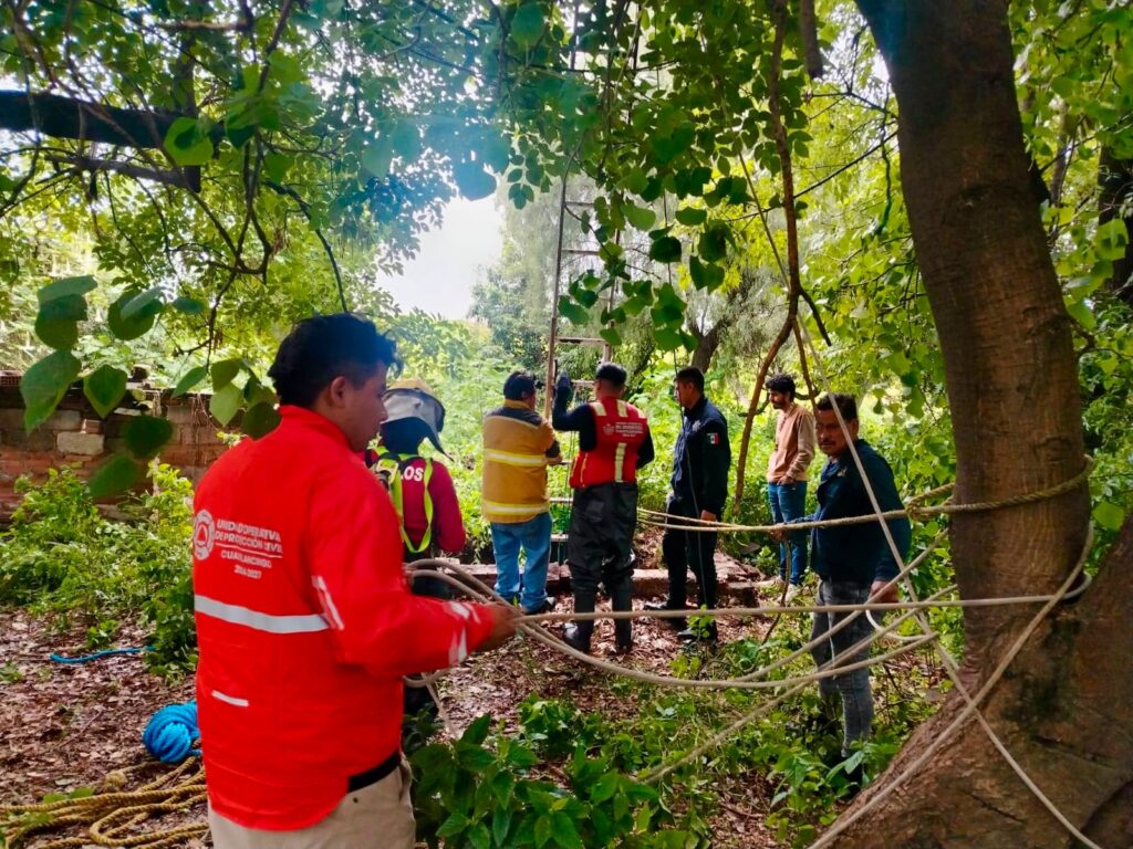 Bomberos y Protección Civil rescatan a ser sintiente en la Inspectoría Nuevo León