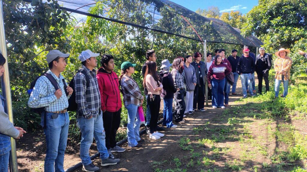 Consolidan estudiantes de UTH su perfil mediante prácticas en campo