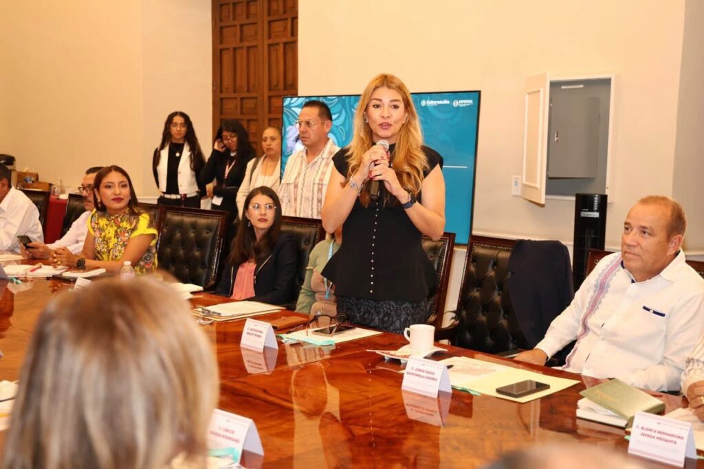 PUEBLA, SEDE NACIONAL DE LA AGENDA DE PROTECCIÓN DE NIÑAS, NIÑOS Y ADOLESCENTES