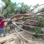 Gobierno de Cuautlancingo mantiene atención a afectaciones derivadas de la lluvia