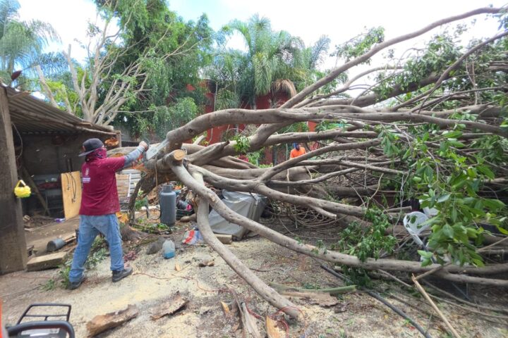 Gobierno de Cuautlancingo mantiene atención a afectaciones derivadas de la lluvia