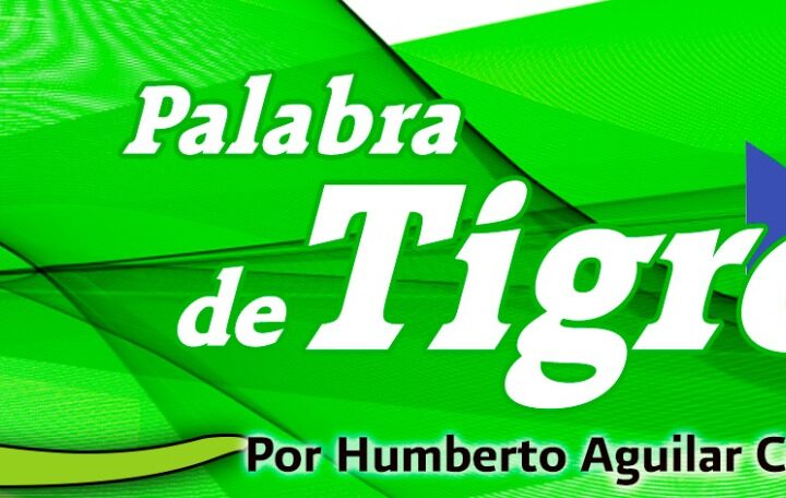Otra vez gobernación en el INE