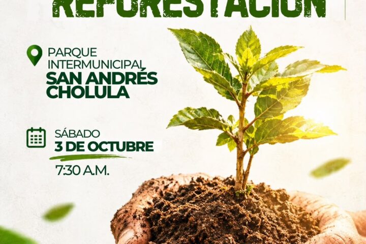 🌱🌳 ¡Sumémonos a la Jornada de Reforestación! 🌳🌱