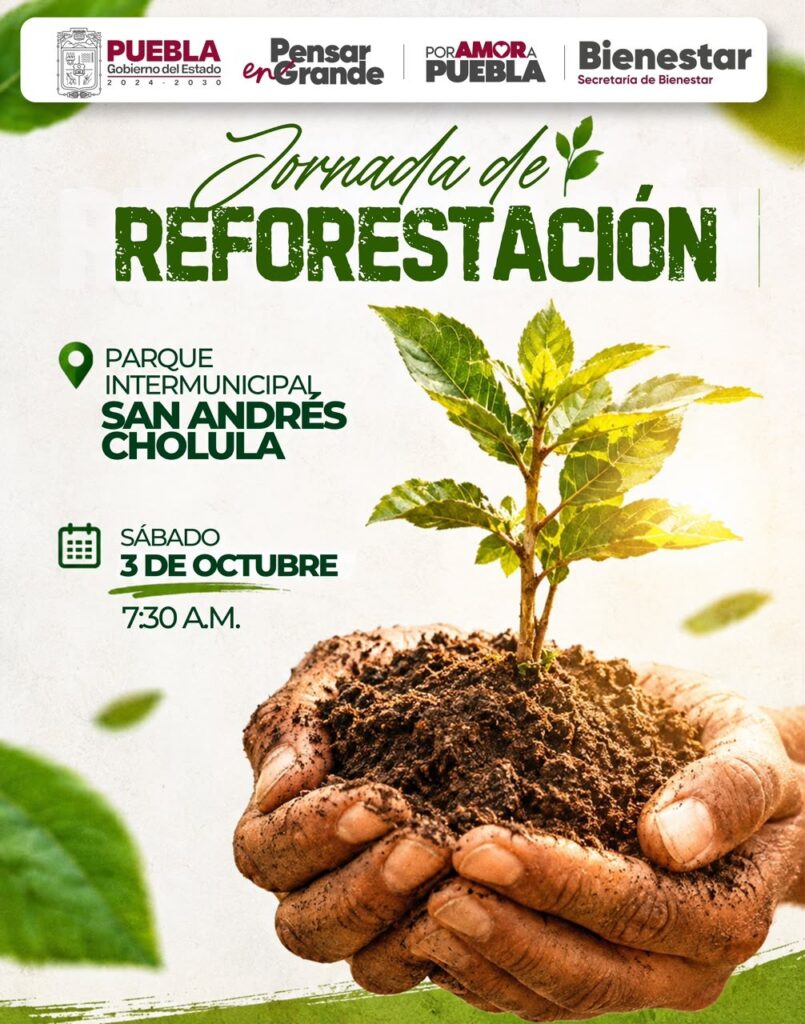 🌱🌳 ¡Sumémonos a la Jornada de Reforestación! 🌳🌱