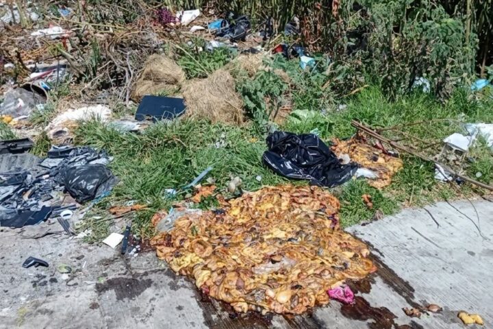 Advierten sanciones en San Pedro Cholula por tirar residuos cárnicos en la vía pública