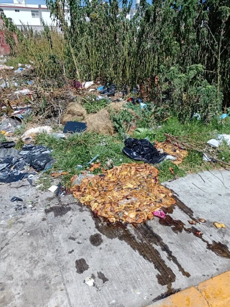 Advierten sanciones en San Pedro Cholula por tirar residuos cárnicos en la vía pública