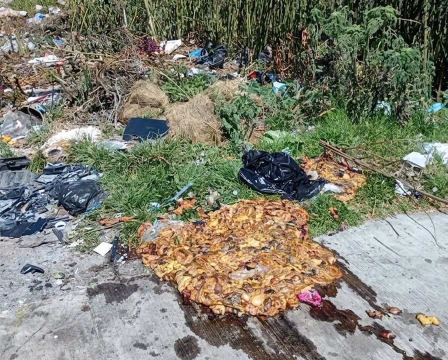 Advierten sanciones en San Pedro Cholula por tirar residuos cárnicos en la vía pública