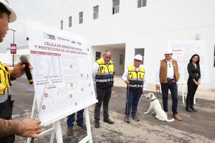 GOBIERNO ESTATAL ALCANZA 88 POR CIENTO DE AVANCE EN CÉLULA DE BIENESTAR ANIMAL