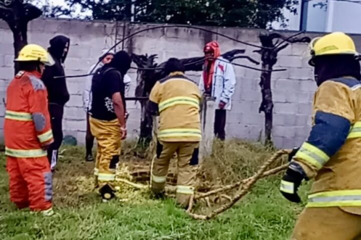 Bomberos de Cuautlancingo rescatan a canino