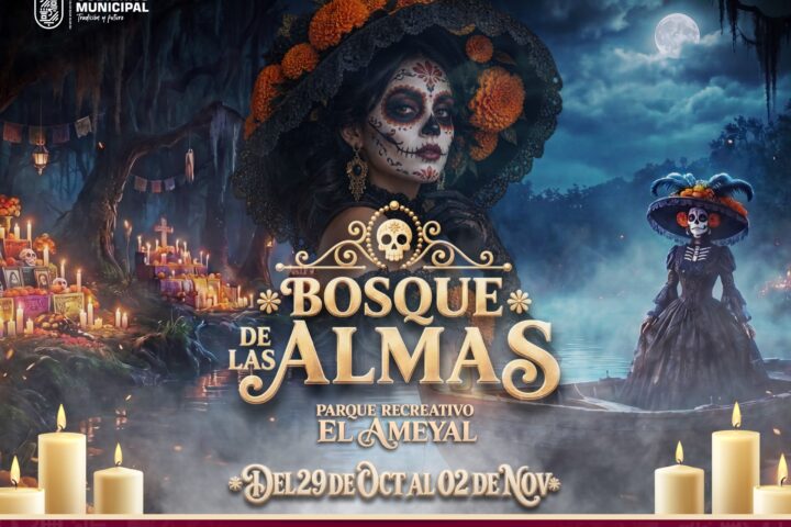 🌼💀 ¡VIVE LA MAGIA DEL BOSQUE DE LAS ALMAS EN CUAUTLANCINGO! 👻🕯️