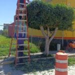 Intensifica Tonantzin Fernández servicios públicos en barrios y juntas auxiliares de San Pedro Cholula