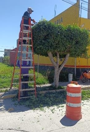 Intensifica Tonantzin Fernández servicios públicos en barrios y juntas auxiliares de San Pedro Cholula